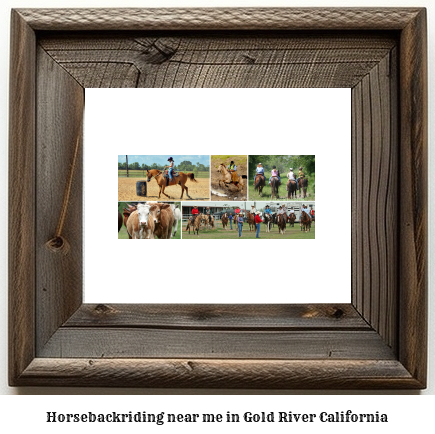 horseback riding near me in Gold River, California